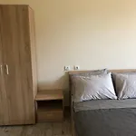 Artfan Guest