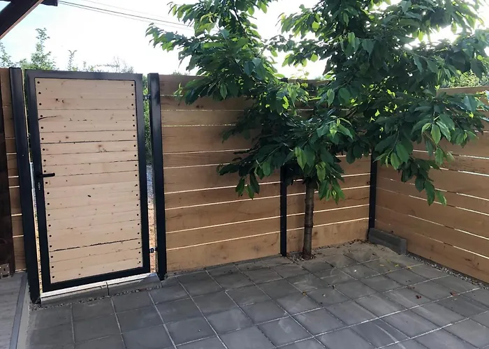 Artfan Guest Varvara (Burgas)