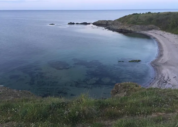 Apartment Artfan Guest *