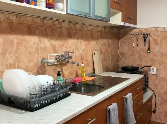 Apartment Artfan Guest