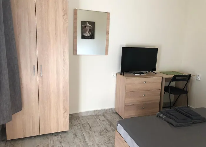 Apartment Artfan Guest