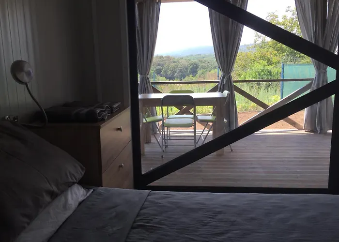 Artfan Guest * Varvara (Burgas)